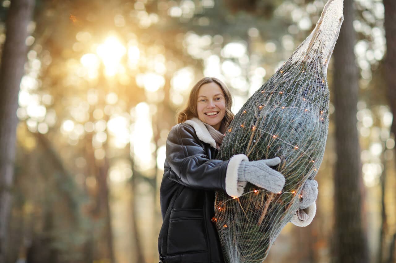 vánoční stromeček